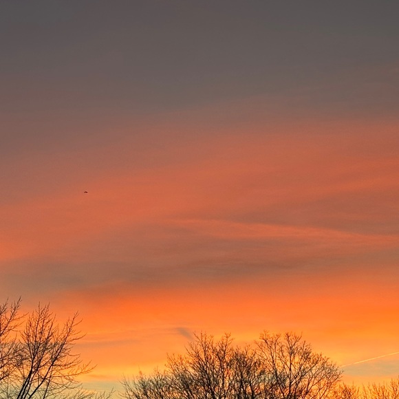 🩵 Like & Bundle 🩵 - Picture 2 of 3